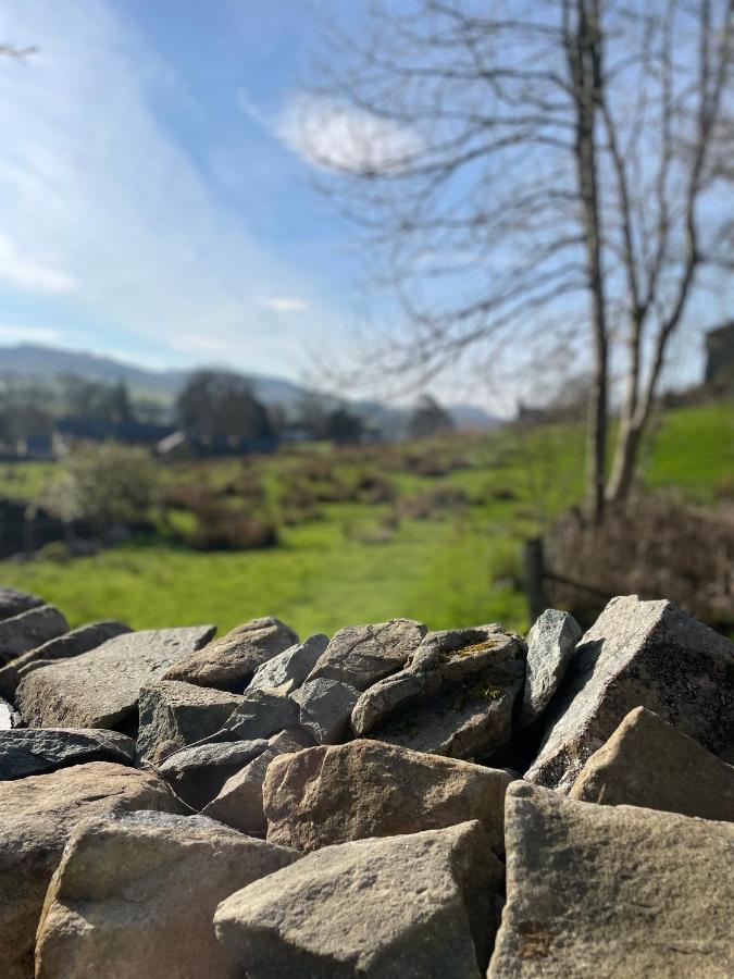 Trawsfynydd Stone Cottage Exterior photo