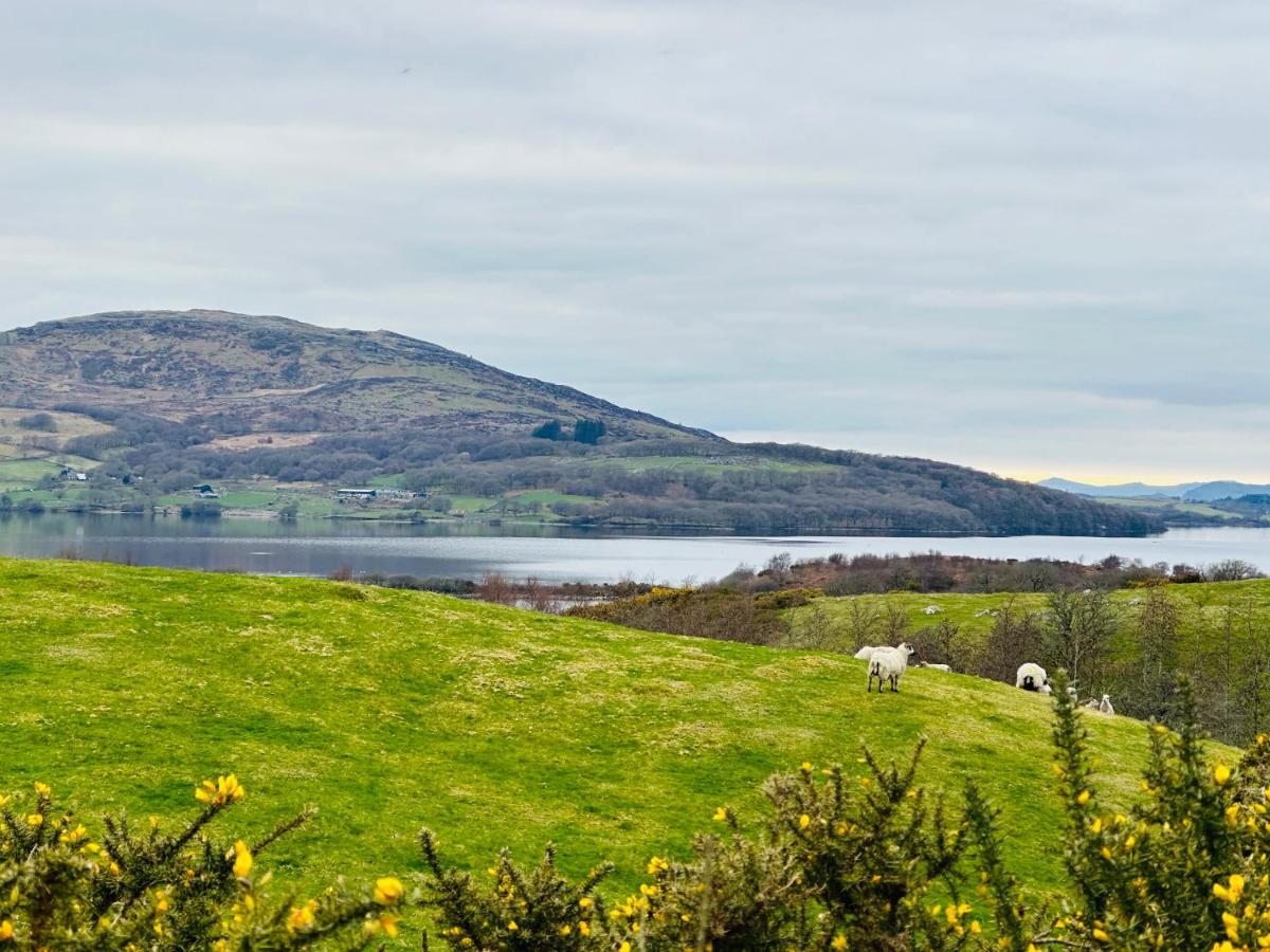 Trawsfynydd Stone Cottage Exterior photo
